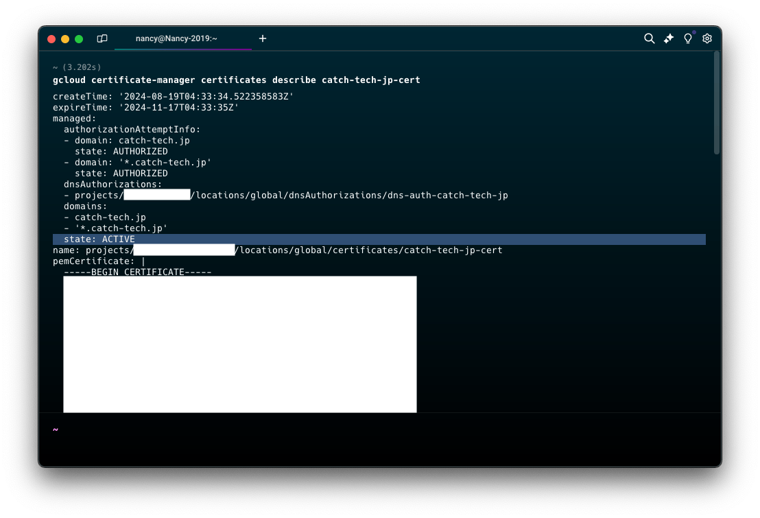 DNS認証からCNAMEのデータを確認